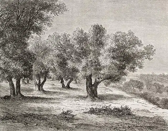 Papier peint Nature – Pontremoli panoramique Lou Garu