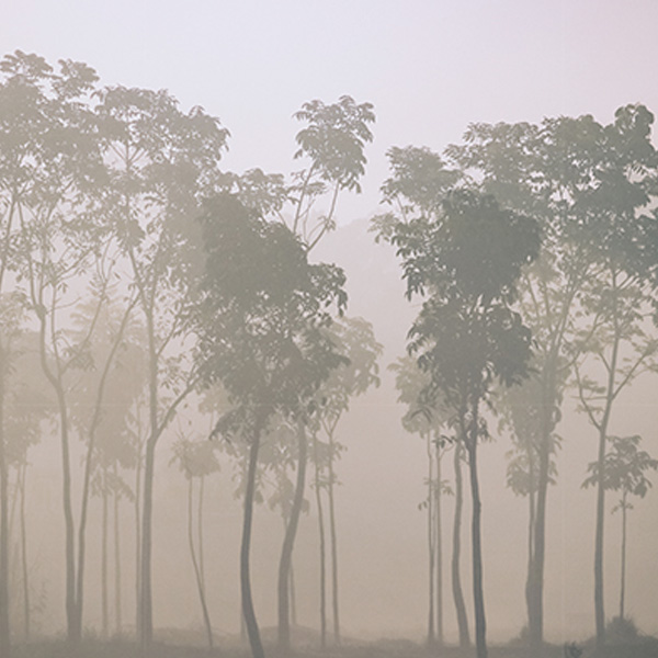 Papier peint Nature – Anjou panoramique Lou Garu
