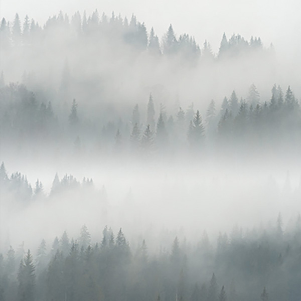 Papier peint Nature – Boréale panoramique Lou Garu