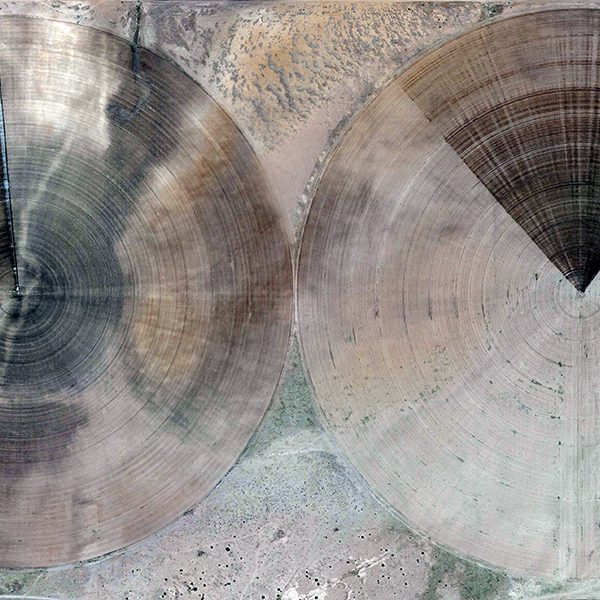 Papier peint Art & Design – Disck Wood panoramique Lou Garu