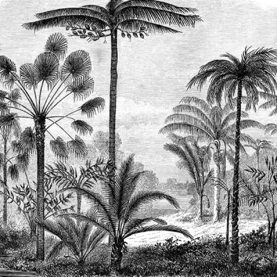 Papier peint – Krabi – disponible sur mesure panoramique Lou Garu
