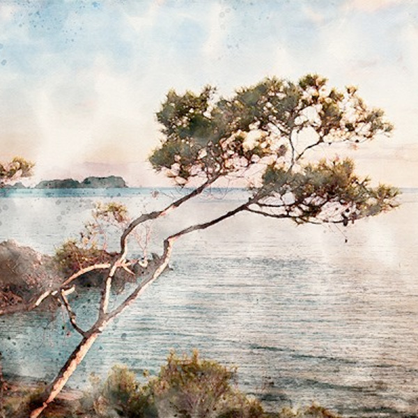 Papier peint Fleurs – Mallorca panoramique Lou Garu