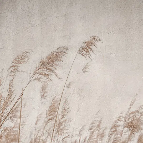 Papier peint Nature – Pampa béton panoramique Lou Garu