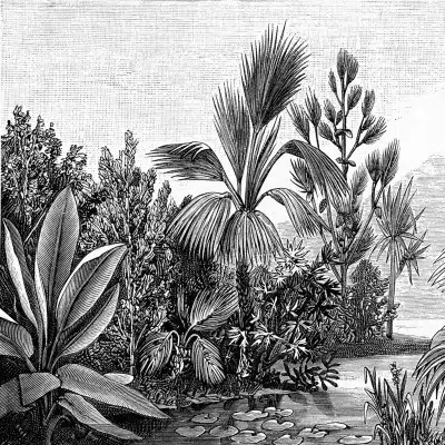 Papier peint – Talamanca – disponible sur mesure panoramique Lou Garu