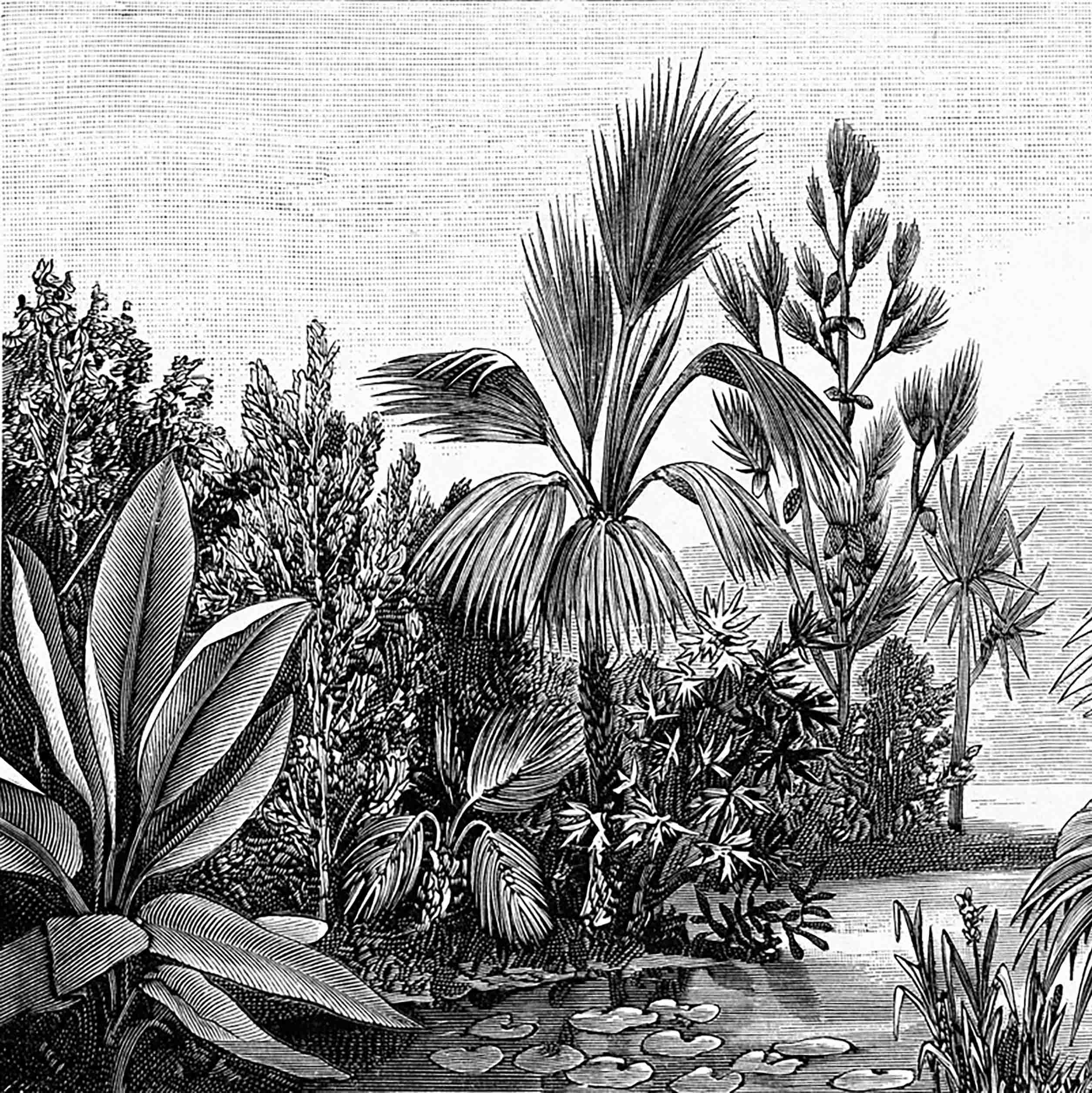 Papier peint Nature – Talamanca panoramique Lou Garu