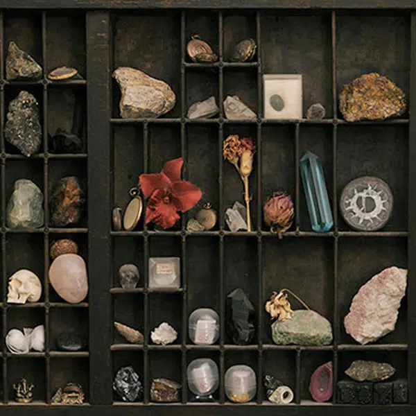 cabinet de curiosités