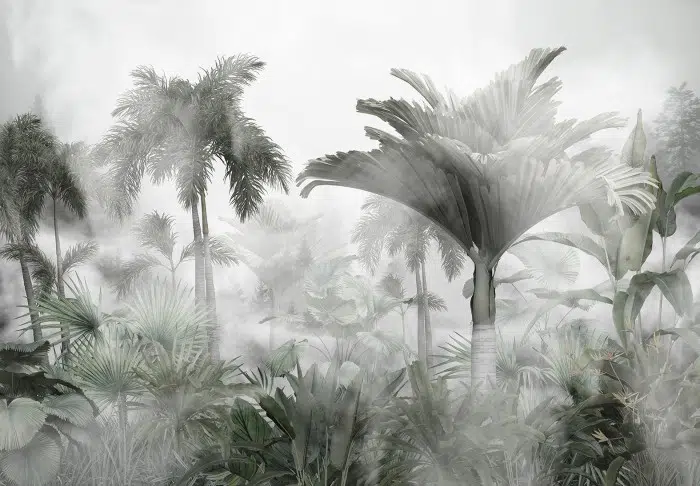 Papier peint Nature – Isla Cristobal panoramique Lou Garu
