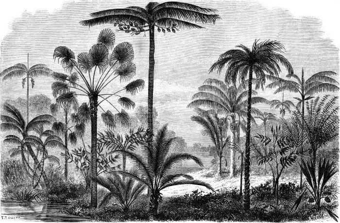 Papier peint Séjour – Krabi panoramique Lou Garu