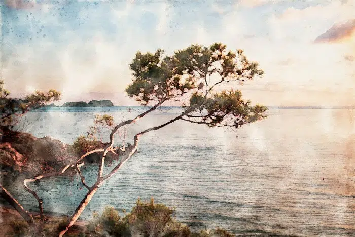 Papier peint – Mallorca – disponible sur mesure panoramique Lou Garu