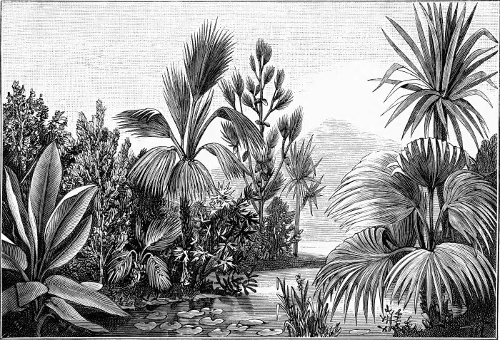 Papier peint Nature – Talamanca panoramique Lou Garu