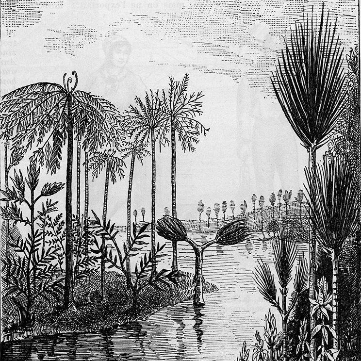 Papier peint Nature – Tamarindo panoramique Lou Garu