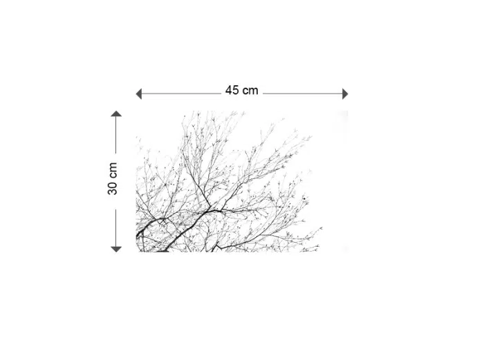 Papier peint – Arbre à boules – disponible sur mesure panoramique Lou Garu