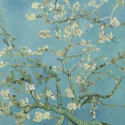 Arbre