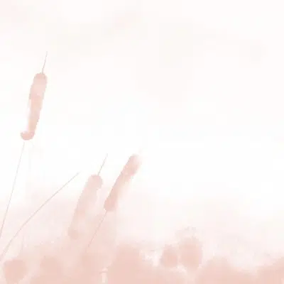séjour