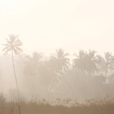 Papier peint – Early morning in Bali – disponible sur mesure panoramique Lou Garu