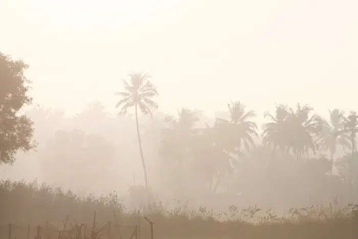 Papier peint – Early morning in Bali – disponible sur mesure panoramique Lou Garu