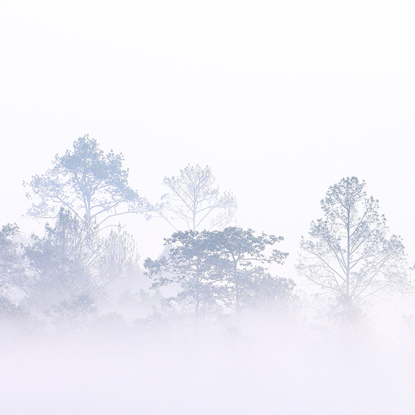 Papier peint Paysages lointains – Foggy morning panoramique Lou Garu